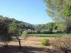 Castellet风景
