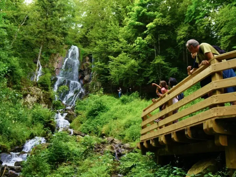 滝のHohwald - 自然遺産のLe Hohwald