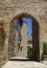 Vabre-Tizac - Vaulted door