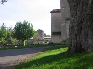 Vue sur le tilleul, l'église et la tour de la dîme