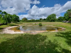 Le lac de Mège au printemps