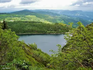 Lake White seen from the lake source (© J.E).