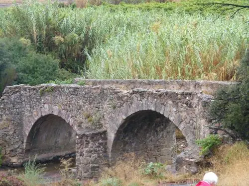 Le Cannet-des-Maures - Pont dit romain