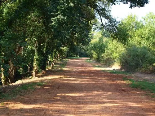 Le Cannet-des-Maures - Piste verte La Boudrague