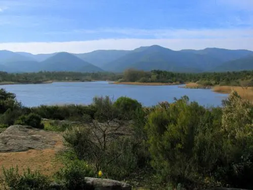 Le Cannet-des-Maures - Escarcets See