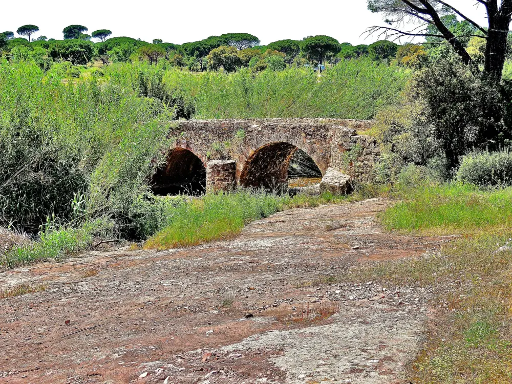 Le Cannet-des-Maures - Pont romain, sur le ruisseau des Mourgues (© Jean Espirat)
