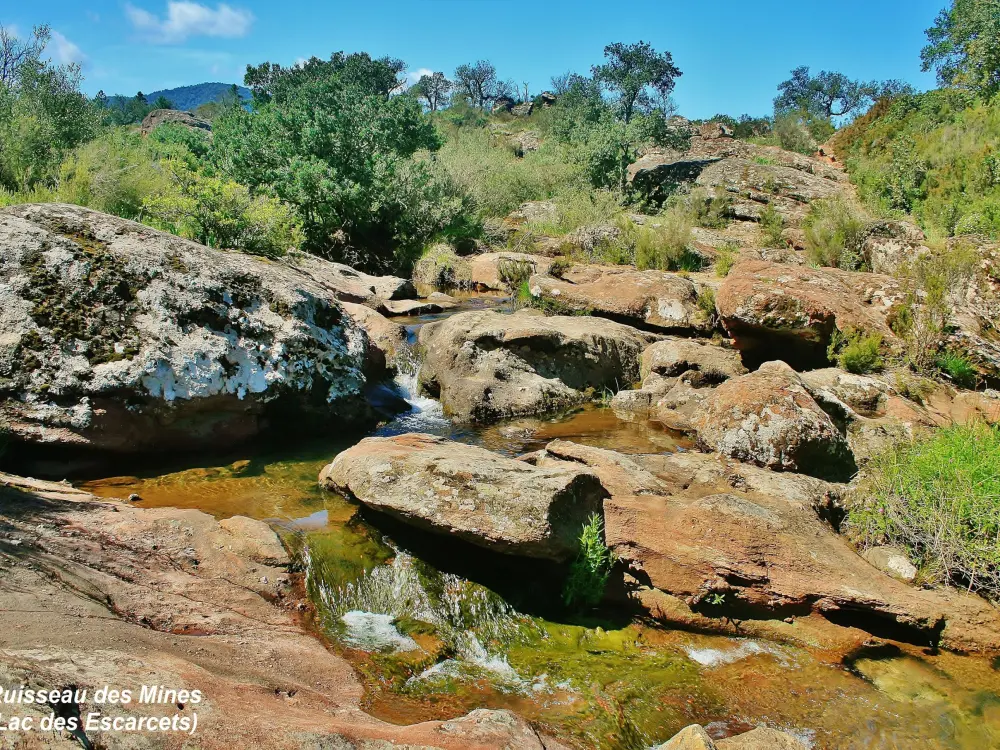 Le Cannet-des-Maures - Creek Mines - Tributary Escarcets See (© Jean Espirat)