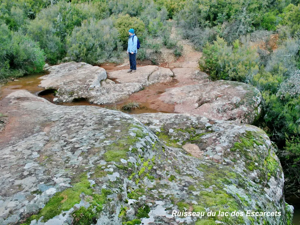 Le Cannet-des-Maures - Temporary Creek, Westufer des Lago Escarcets (© Jean Espirat)