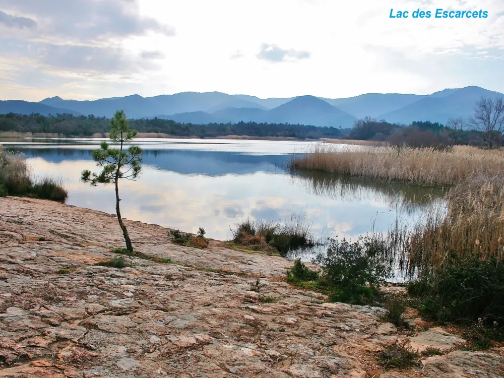 Le Cannet-des-Maures - See Escarcets aus gesehen West Shore (© Jean Espirat)