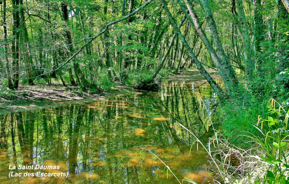 Le Cannet-des-Maures - Saint Daumas - Affluent du lac des Escarcets (© Jean Espirat)
