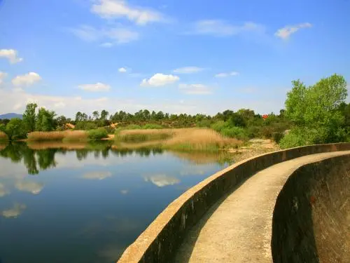 Le Cannet-des-Maures - Lac des Escarcets vu du barrage