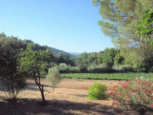 Paysage du Castellet
