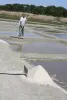 Saunier collecting salt at the port of Les Salines