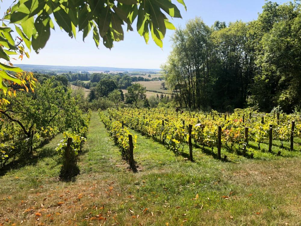 Photos Le Pailly Tourisme, Vacances & Weekend