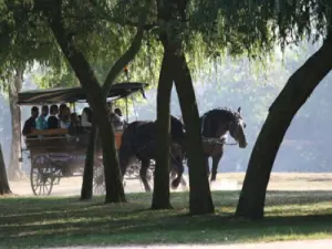 Journée de l'Animal - Balade en calèche (© Ville du Pecq)