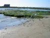 The fort of Striking at low tide