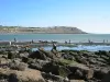 Le Portel - Cueillette de moules au fort de l'Heurt
