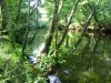 Delta de la Leyre - Naturstätte in Le Teich