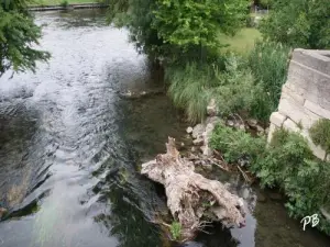 La Sorgue