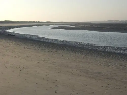 Bay of Étaples - Natural site in Le Touquet-Paris-Plage