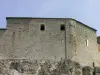 Castle of the Comtes d'Armagnac - Monument in Lectoure