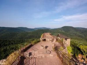 Piattaforma del castello di Fleckenstein (© M. Rollin)