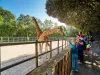 Зоопарк Ле-Сабль-д'Олон