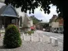 Saint-Sauveur church and Château-Gaillard