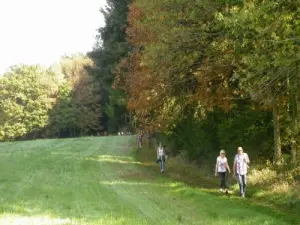 Wandelaars langs de wegen