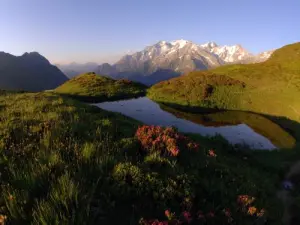 verano de montaña