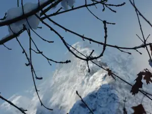 Blick auf die Muzelle