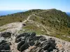 Cumbre sur del Mont Mézenc (© JE)