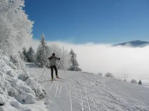 Ski de fond au Mézenc