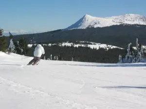 Alpineskiën bij Les Estables