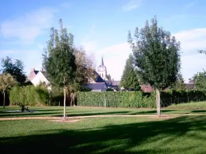 Brissarthe - Part of the village seen from the children's play area