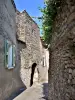Les Mées - Rue Saint-Roch et porte Bauduine - Vue extérieure à l'enceinte fortifiée (© J.E)