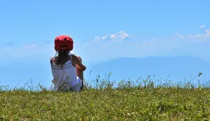 Vista delle Alpi da La Dole in estate