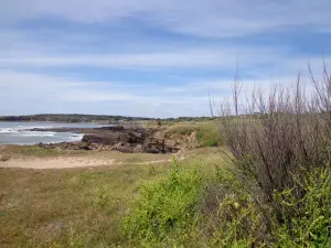 Château-d'Olonne - Corniche de Cayola