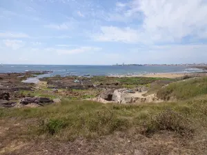 Château-d'Olonne - Corniche du Puits d'Enfer