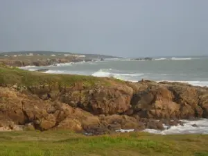 Château-d'Olonne - Wilde Küste