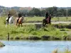 Olonne-sur- Mar - Paseos a caballo en los pantanos