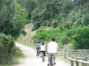 Olonne-sur-Mer - Fahrradtouren