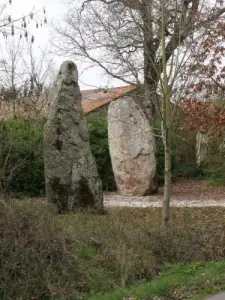 Olonne-sur-Mer - Hochgeprägte Steine