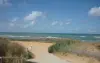 Plage de la Paracou (© OT les Sables d'Olonne)