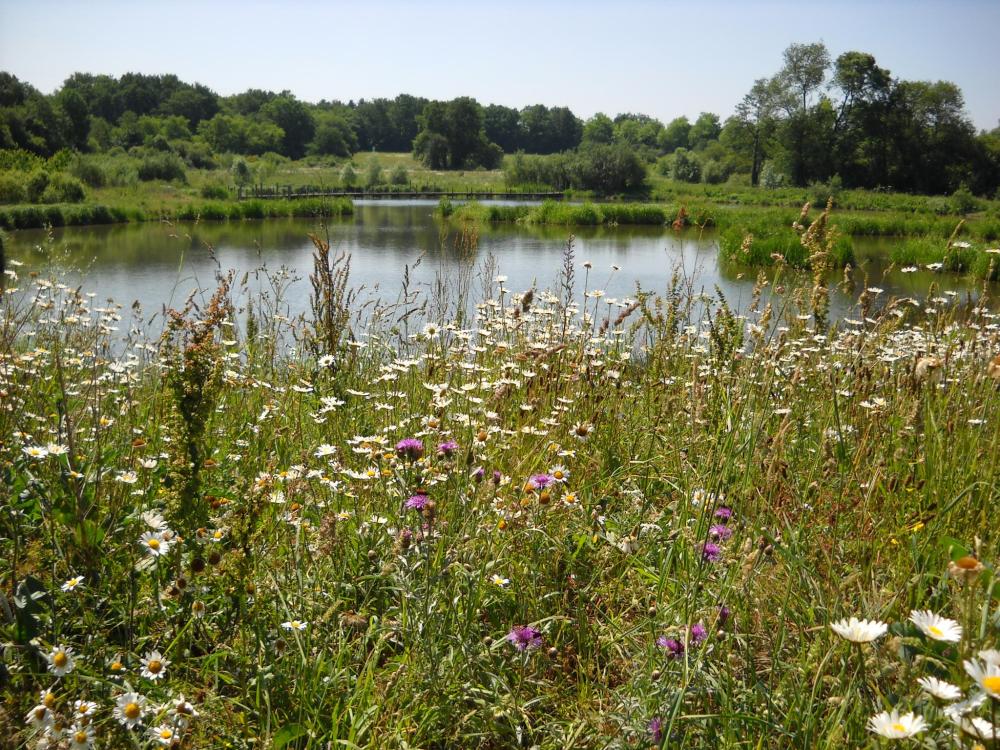 Photos Les Sorinières Tourisme, Vacances & Weekend