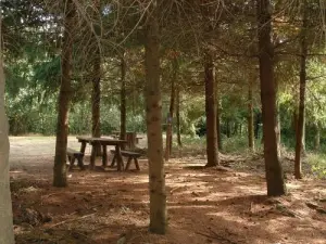 Ein schöner Ort für ein Picknick Létra