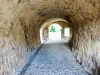 城のLandskron - 歩道トンネル(©J.E)
