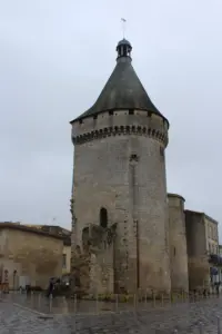 Torre del vecchio porto