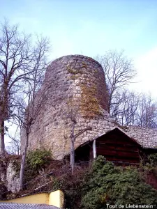 Tour du château médiéval du Liebenstein (© Jean Espirat)