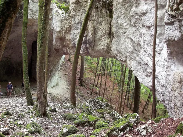 Fels von l'arche du Bisontin - Naturstätte in Liebvillers